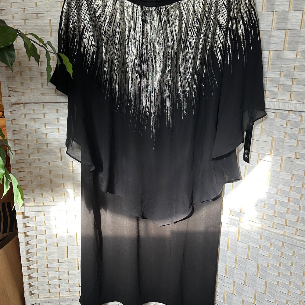 Elegant Black and Silver Women's dress